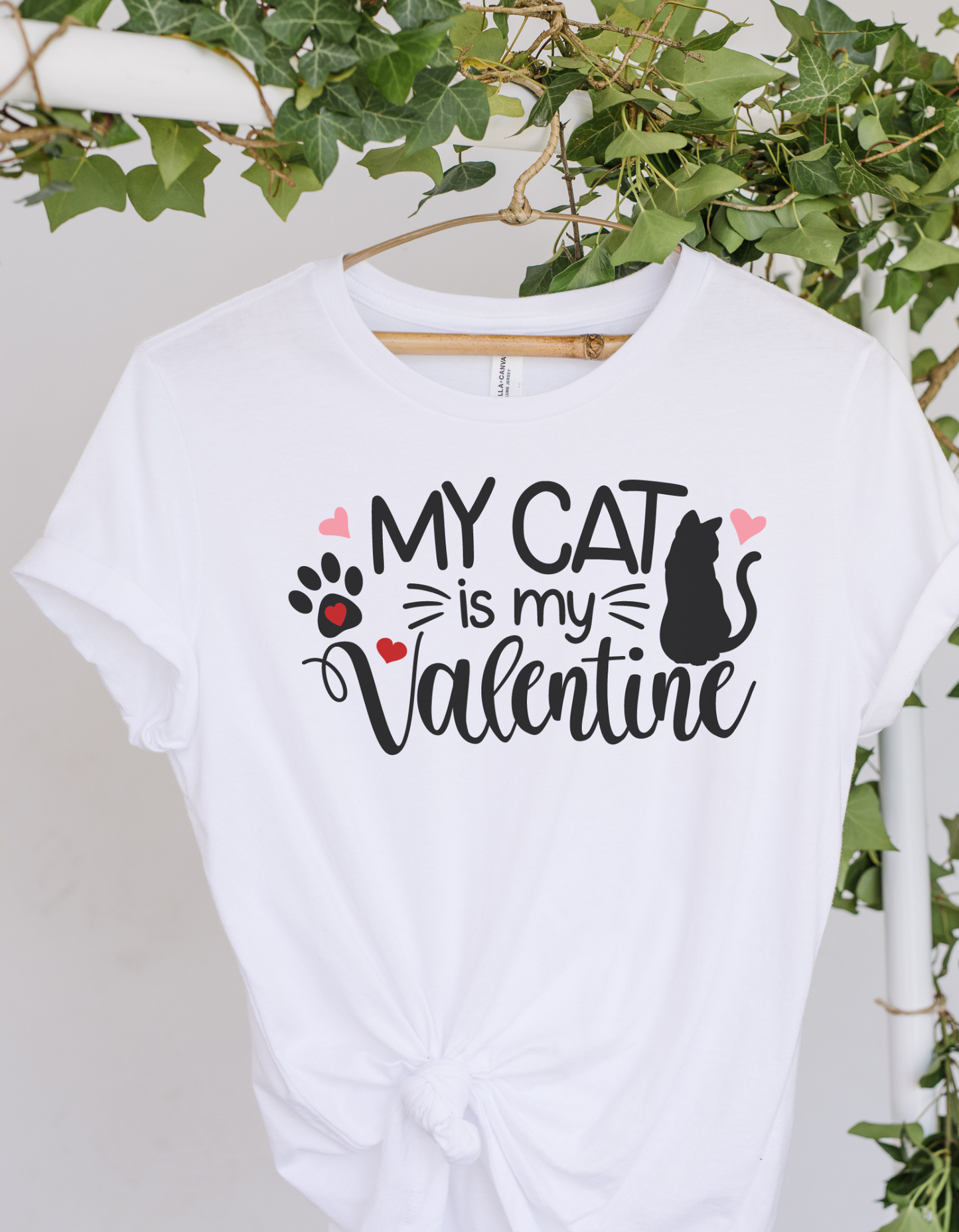 My Cat is my Valentine