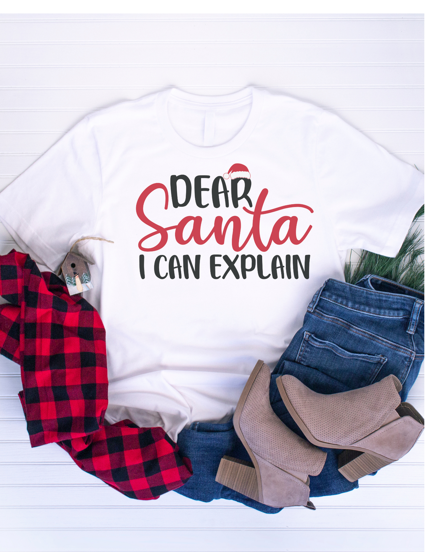 Dear Santa I can Explain